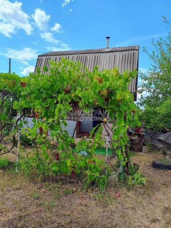 Продаж дачного будинка із земельною ділянкою на «Світанку« («Рассвет«). - фото 1