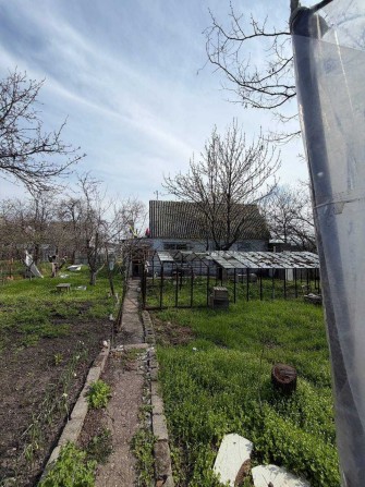 Продається дачний будинок у садовому товаристві «Восток» (Діївка). - фото 1