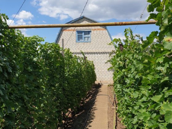 Продам дачу в черте города