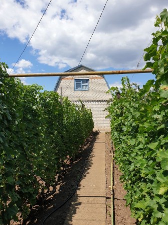 Продам дачу в черте города - фото 1