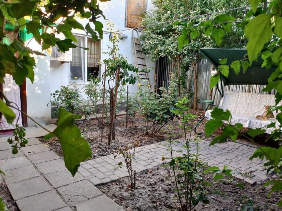 Бюджетное предложение на Чубаевке Одесса