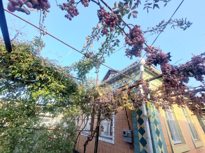 Затишний будинок на Херс.шосе - фото 1