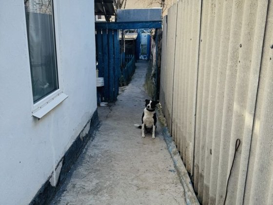 Продам участок , Радужный, Ульяновка Одеса