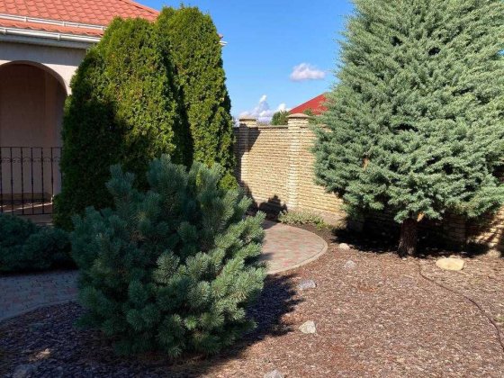 В продаже уютный, комфортный дом в пригороде Одессы Одеса