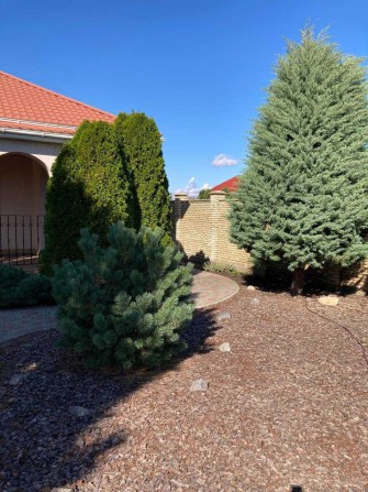 В продаже уютный, комфортный дом в пригороде Одессы - фото 1