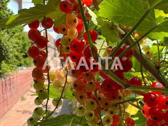 Дом с ремонтом в районе ул. Львовской Одеса
