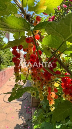Дом с ремонтом в районе ул. Львовской - фото 1