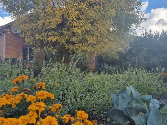 Продаж будинку в Софіївській Борщагівці вул Шевченко! Газ, 16 соток Софіївська Борщагівка