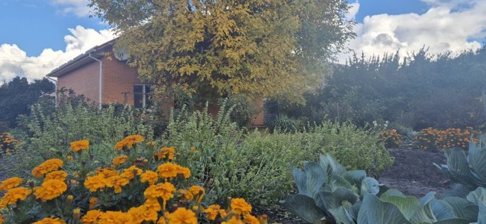 Продаж будинку в Софіївській Борщагівці вул Шевченко! Газ, 16 соток - фото 1