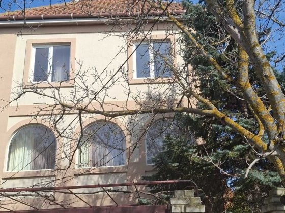 В продаже добротный капитальный дом в Совиньоне 1. Одеса