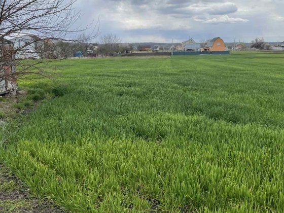 Продаж земельної ділянки в с. Томилівка (Білоцерківський район) Белая Церковь