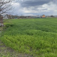 Продаж земельної ділянки в с. Томилівка (Білоцерківський район) Белая Церковь