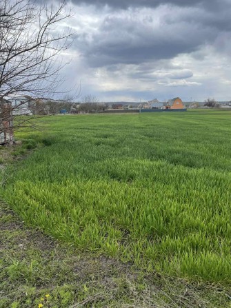 Продаж земельної ділянки в с. Томилівка (Білоцерківський район) - фото 1