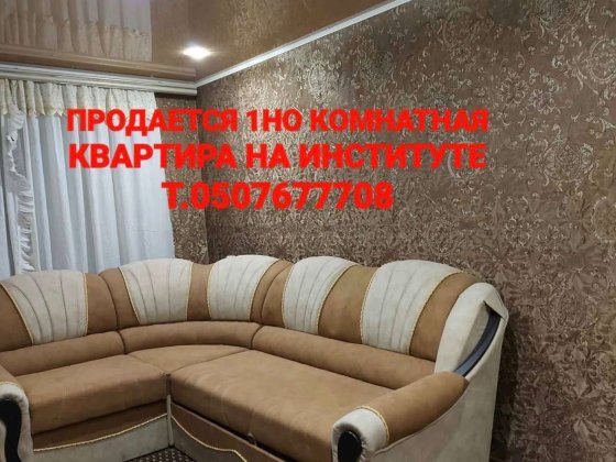 1но комнатная квартира Институт Марганец