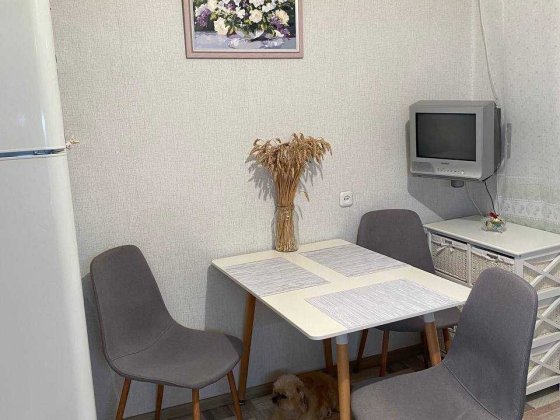 Продам 2-х комнатную квартиру ПЗТО Павлоград