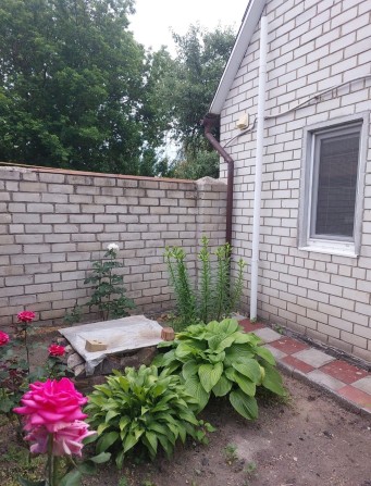 Продам 1к.кв. в Солоницевке.РАБОТАМ ПО СЕРТИФИКАТУ (Эвідновлення) - фото 1