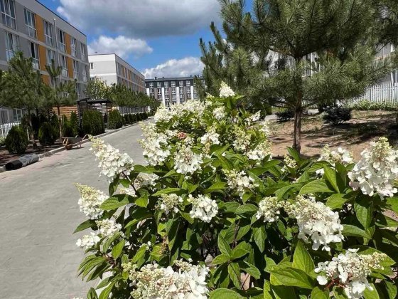 Продаж 1к 27м2 в ЖК Sanville park! Розтермінування! Святопетрівське