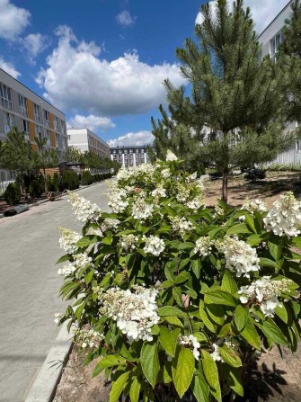 Продаж 1к 27м2 в ЖК Sanville park! Розтермінування! - фото 1