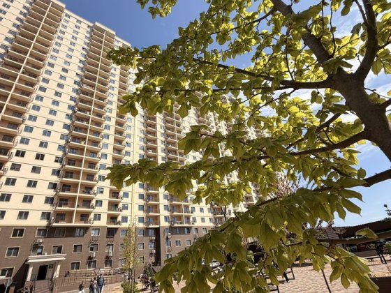 Сахарова Кадор квартира с ремонтом 1 взнос -7777$ Ліски (Одеська обл.)