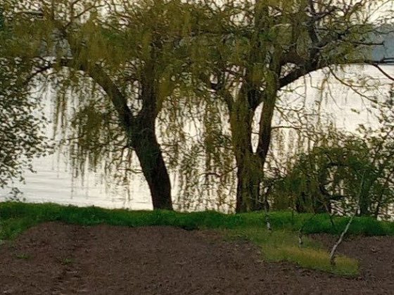 Продам будинок на березі Дніпра власний берег річки 25 соток землі Днепр