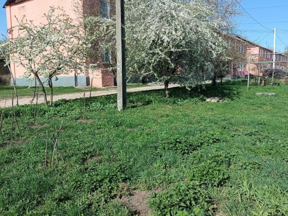 Продаж квартири Ладан