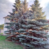 3-к котедж Київ, Дарницький, 1300 $/міс. Киев