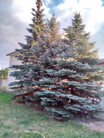 3-к котедж Київ, Дарницький, 1300 $/міс. - фото 1