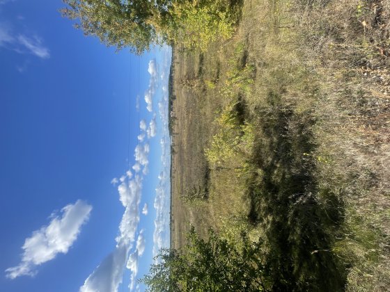 Продається земельна ділянка | с. Сувид, Вишгородський район, Київська область Київ