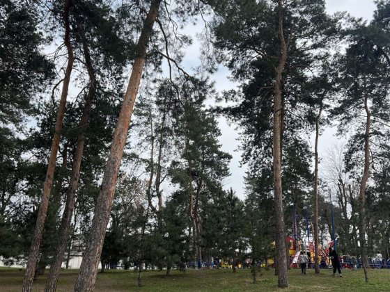 Двокімнатна квартира на Водоканалі Кременчуг