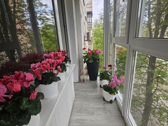 Квартира 3+2 105 кв.м. Кривой Рог