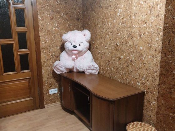 Продам 2 квартиры на одной площадке на ул.  Гетьманской Кривий Ріг