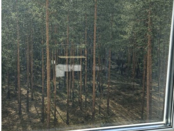 Квартира з новим ремонтом з панорамним видом на сосни в Ірпені Ирпень