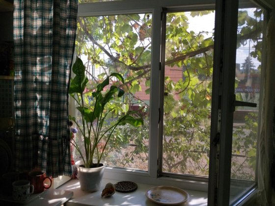 2-кімнатна Гданцівка/Гданцевка, вул.Чумацька, є-відновлення Кривой Рог