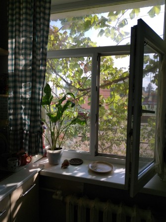 2-кімнатна Гданцівка/Гданцевка, вул.Чумацька, є-відновлення - фото 1