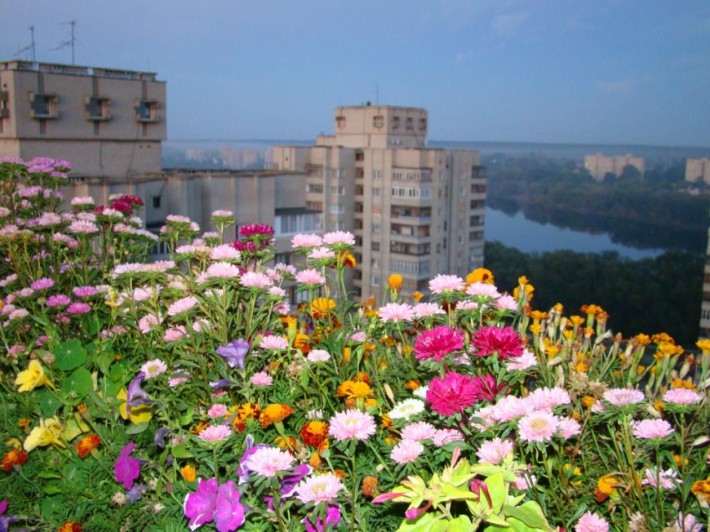 Дворівнева квартира (Пентхаус) в центрі міста - фото 1