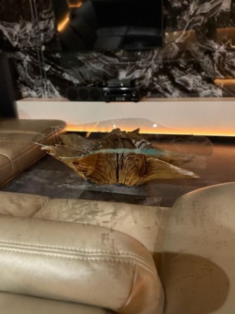 Продаж стильної 2 квартири з євроремонтом | Боздош | Новобудова - фото 1