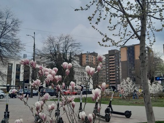 2к.кв  Новий ремонт! Новобудова в самому Центрі! Черкаси