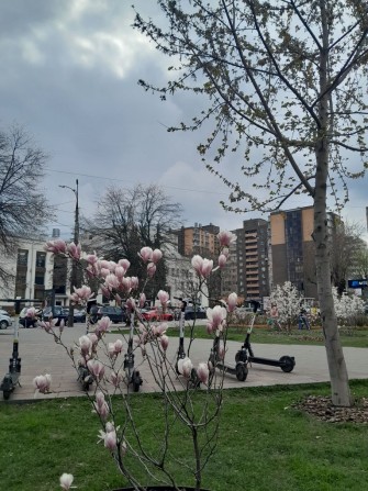 2к.кв  Новий ремонт! Новобудова в самому Центрі! - фото 1
