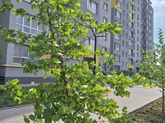 Продам  1 - кім. в новобуді вул. Ак.Янгеля Винница