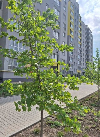 Продам  1 - кім. в новобуді вул. Ак.Янгеля - фото 1