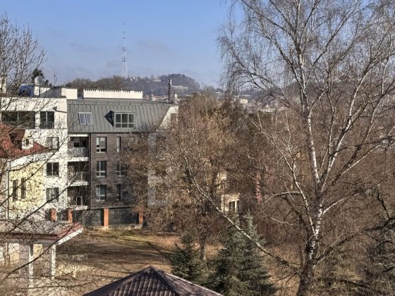 3х кімнатна квартира біля Стрийського парку, без комісії Львів