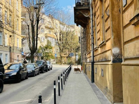 Продаж 4 кімнатної квартири, вулиця Верхратського Івана, Личаківська Львов