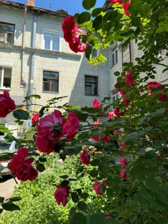 Квартира у м.Кропивницький, 4 кімн., сталінка, центр - фото 1