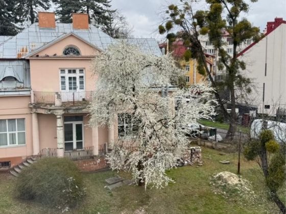 Продаж 1 кімнатної квартири по вул. Рудницького Львов