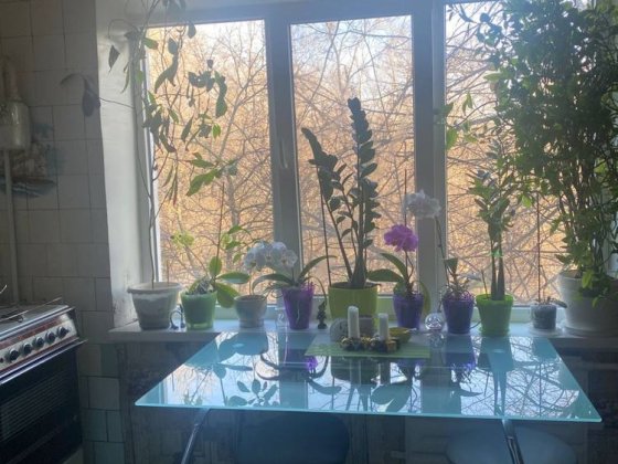 2 ком. квартира ул. Чаривная, 4/9 Запорожье