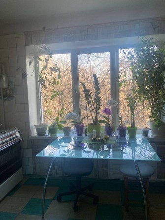 2 ком. квартира ул. Чаривная, 4/9 - фото 1