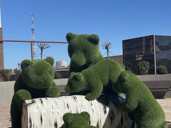 1- ком Кадор на Краснова 63 Жемчужина , во двор Одесса