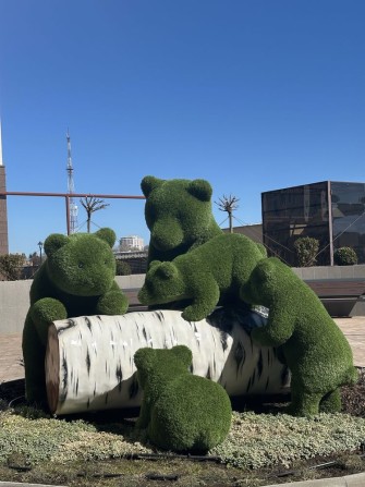 1- ком Кадор на Краснова 63 Жемчужина , во двор - фото 1