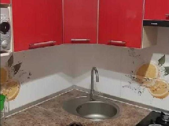 Терміново продам 3кімнатну квартиру в гарному стані. Харьков