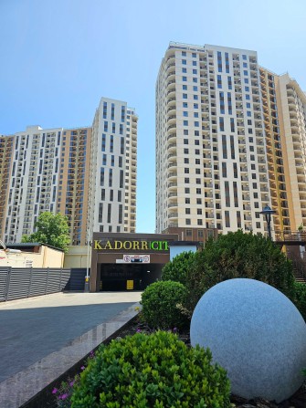 1к Краснова‼️Средний‼️ Правильная‼️ Кадорр - фото 1